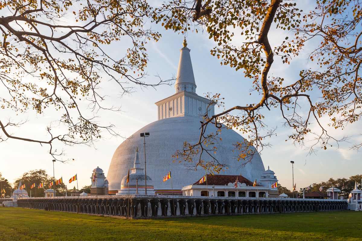 5-Day Sri Lanka Heritage & Coast Tour