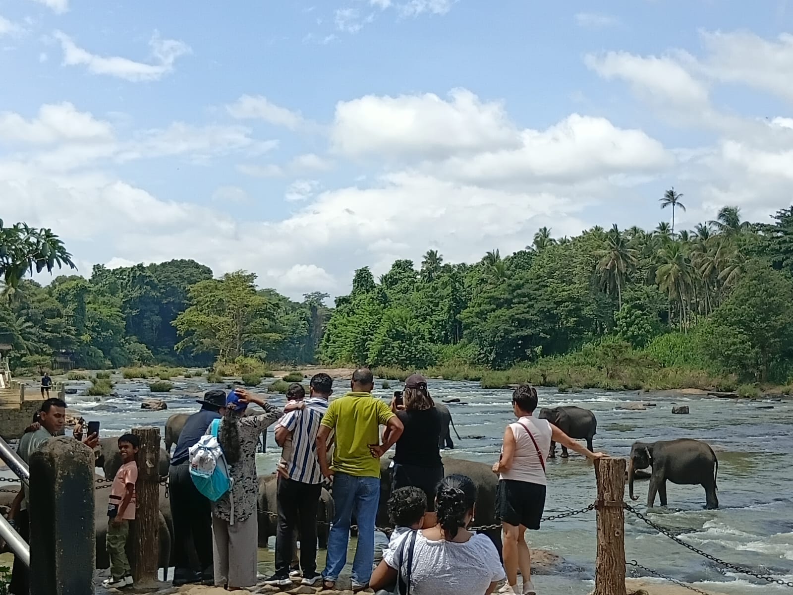 Jourvella Travel and Tours Sri Lanka Guest & Tour Photo
